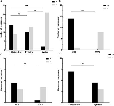 Olfactory Stimulation and the Diagnosis of Patients With Disorders of Consciousness: A Double-Blind, Randomized Clinical Trial